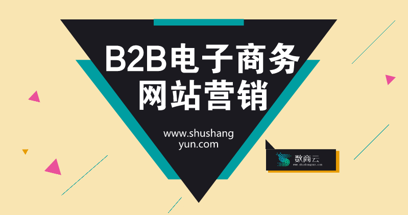 怎样有效提升b2b电子商务网站营销的质量?